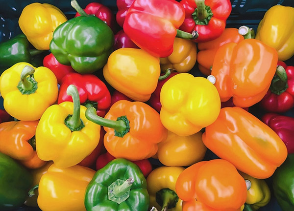 Peppers | Wholesale Produce Virginia | Muzzarelli Farms