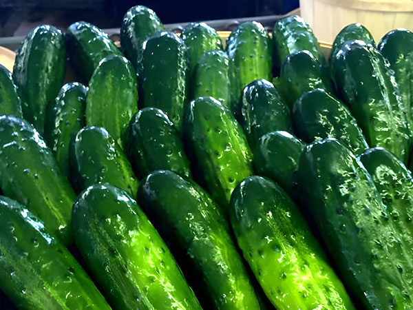 Pickles | Wholesale Produce Kentucky | Muzzarelli Farms