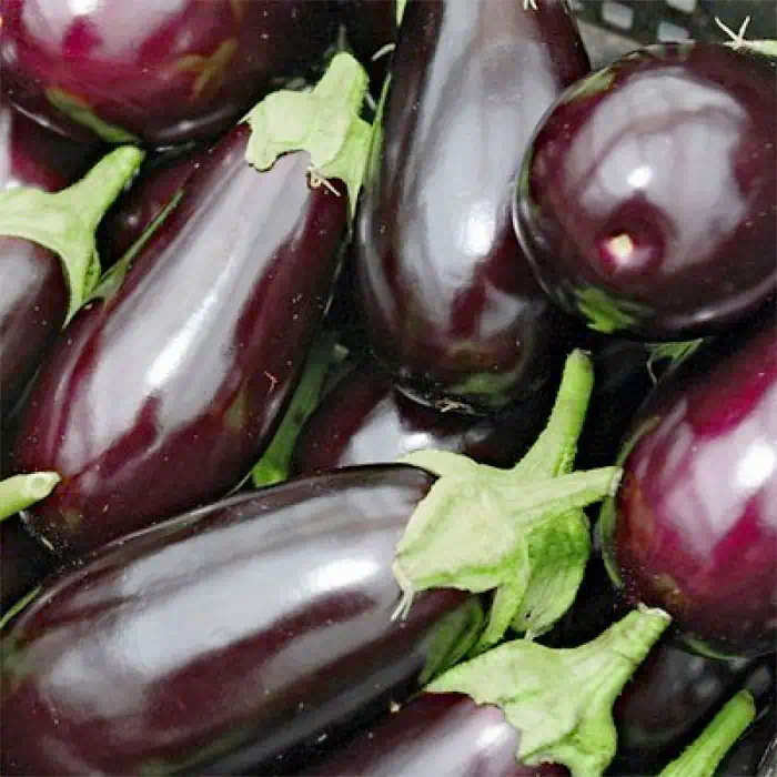 The Versatile, Nutritious Eggplant