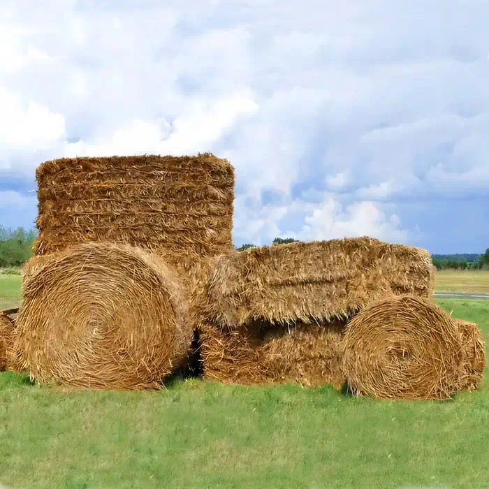 Unlocking the Versatility of Hay Bales
