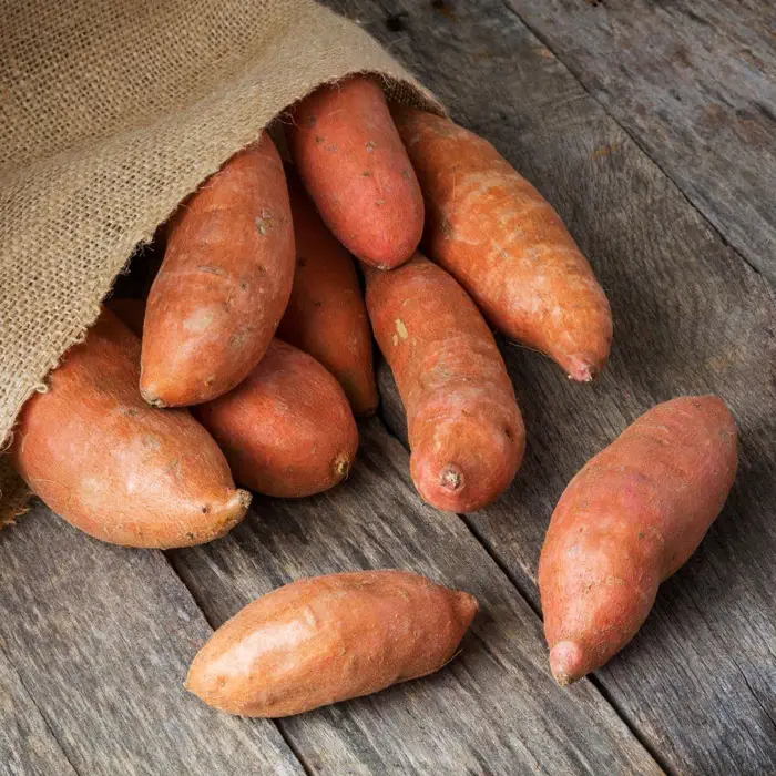 How to Store Sweet Potatoes | Muzzarelli Farms, Vineland NJ