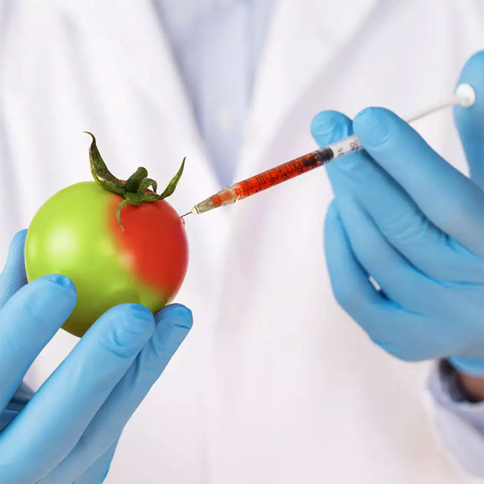 Reasons to Avoid GMO Foods