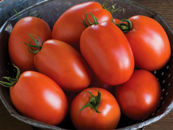Plum Tomatoes | Wholesale Produce Maine | Muzzarelli Farms