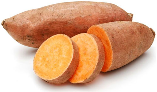 Organic Covington Sweet Potatoes in Tennessee