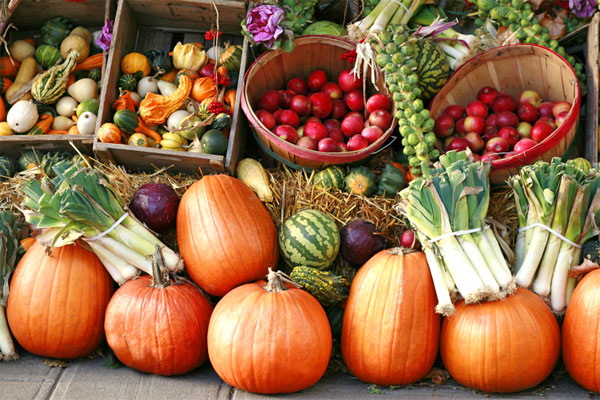 Fall Fruits and Vegetables at Muzzarelli Farms in Vineland, New Jersey