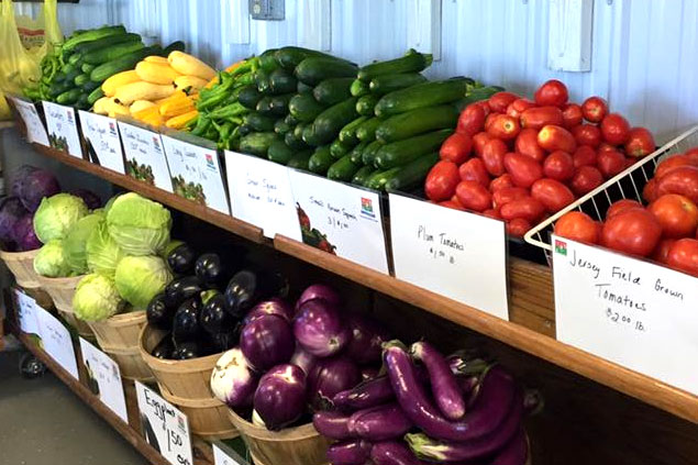 Our Produce at Muzzarelli Farms in Vineland, New Jersey